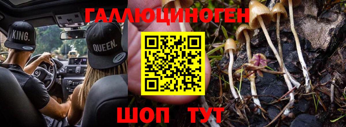 Кстово  Псилоцибиновые грибы прущие грибы  Вход с VPN 